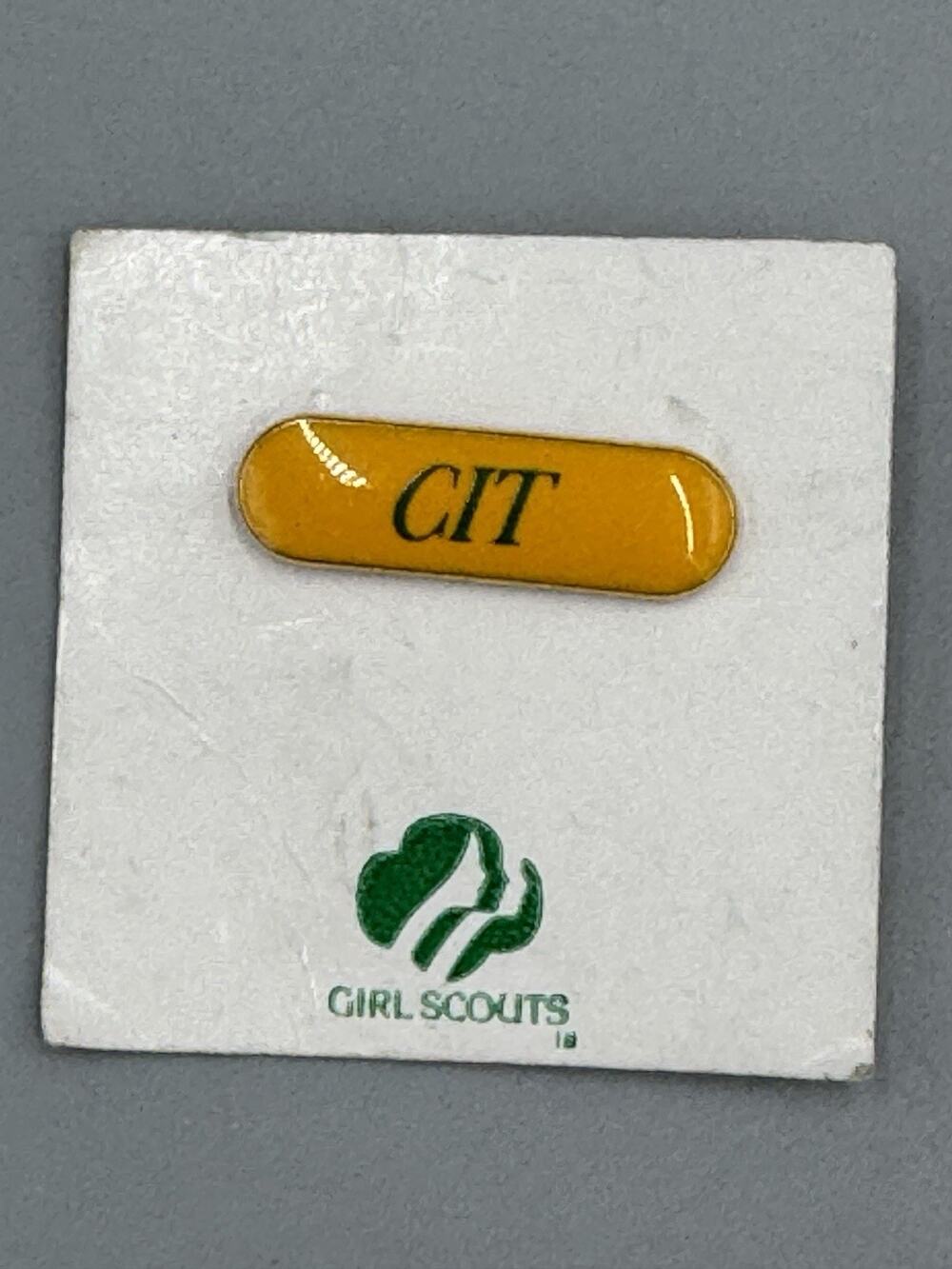 Girl‎ Scouts Councilor in Training Lapel Pin